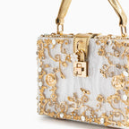 Vioraia Acrylic Box Handbag