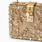 Vioraia (CS) Acrylic Box Handbag