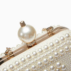 Vioraia Delna Clutch Bag
