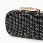 Vioraia (CS) Sara Diamond Encrusted Clutch Bag
