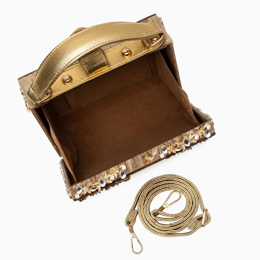 Vioraia Acrylic Box Handbag