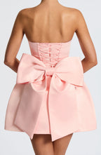 Abbey Mini Dress - Blush