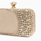 Vioraia (CS) Majestic Diamond Clutch Bag